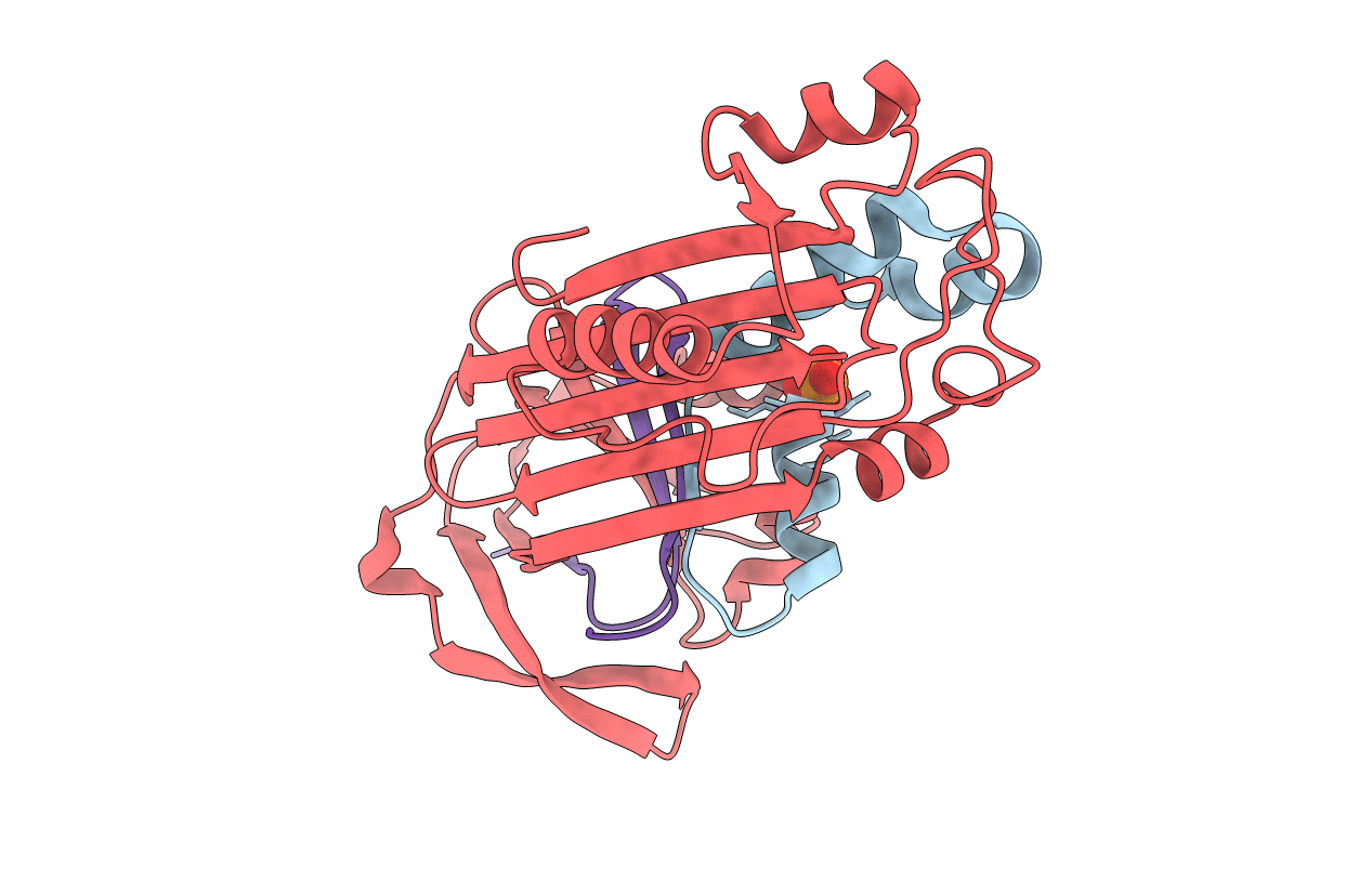 1M93 image