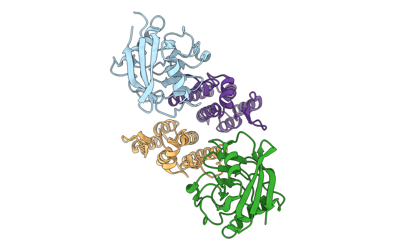 1M9D image