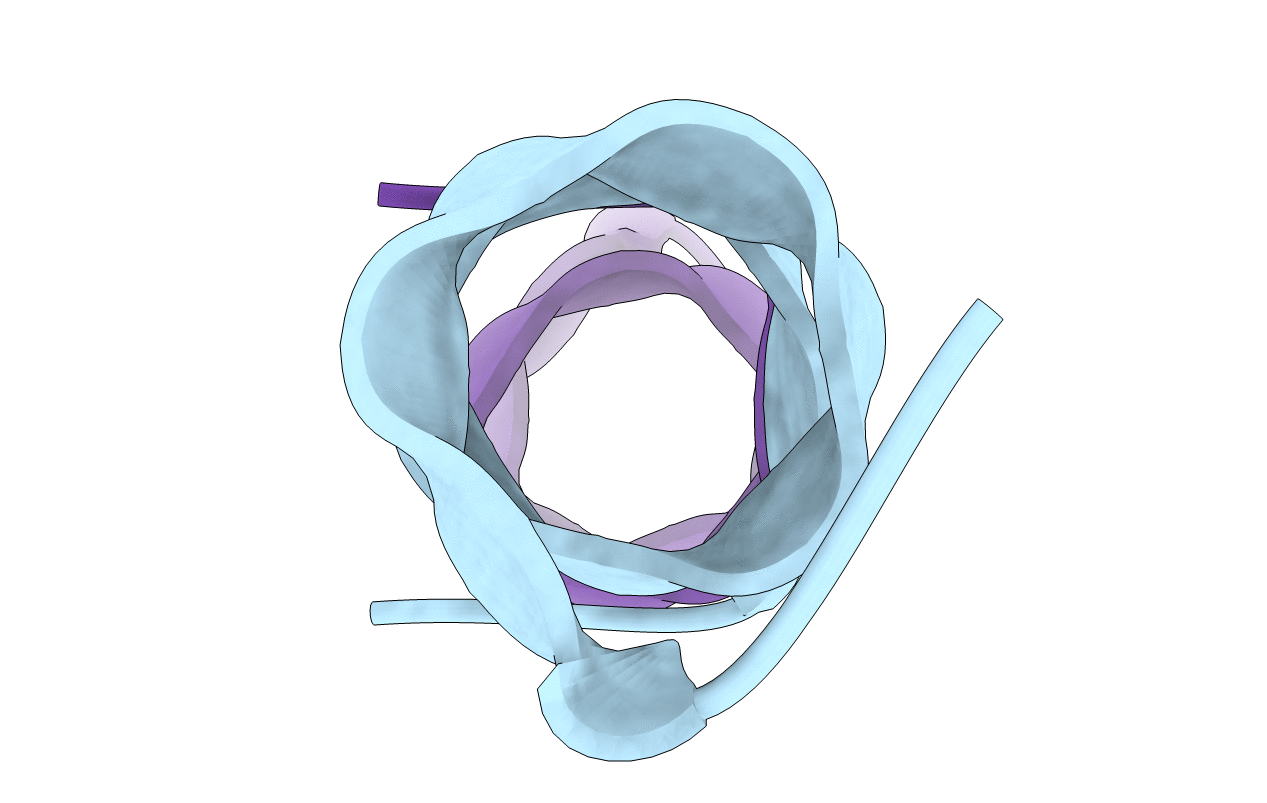 1MAG image