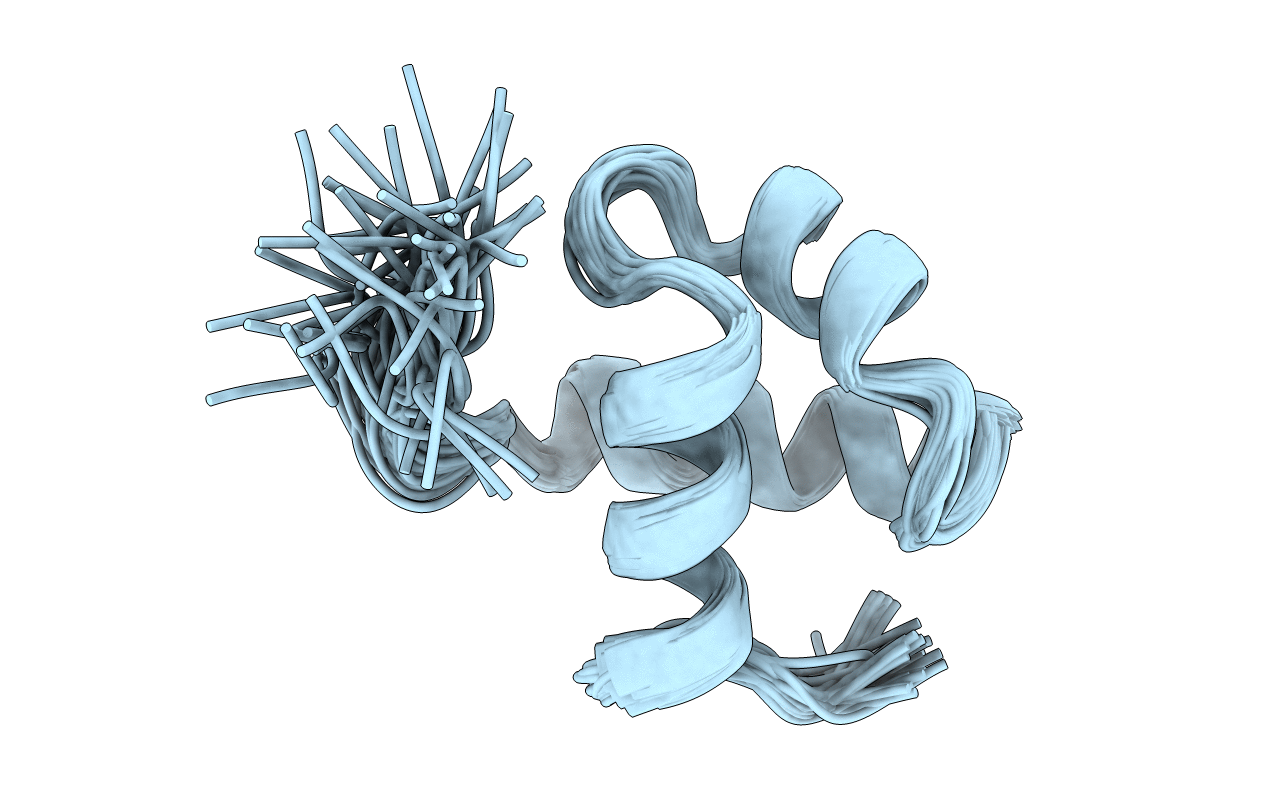 1MBH image