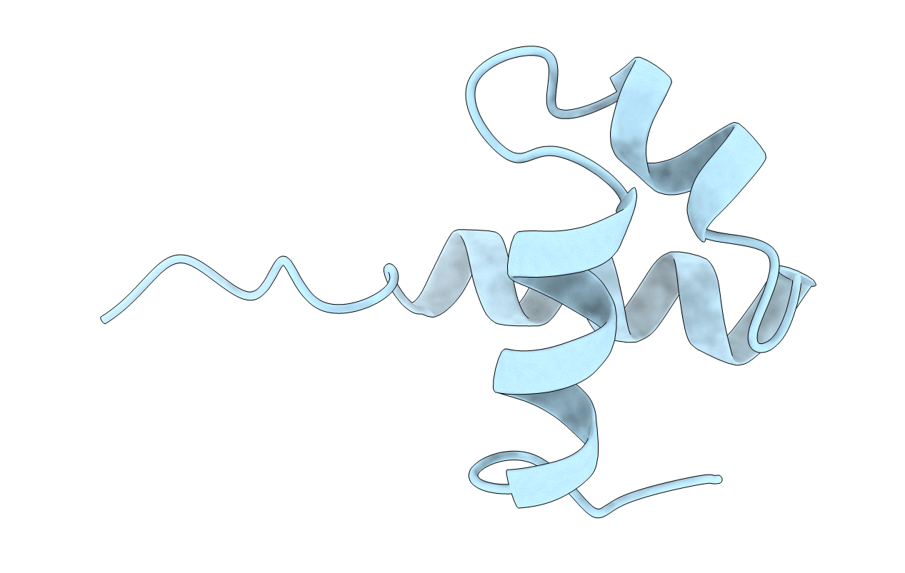 1MBJ image