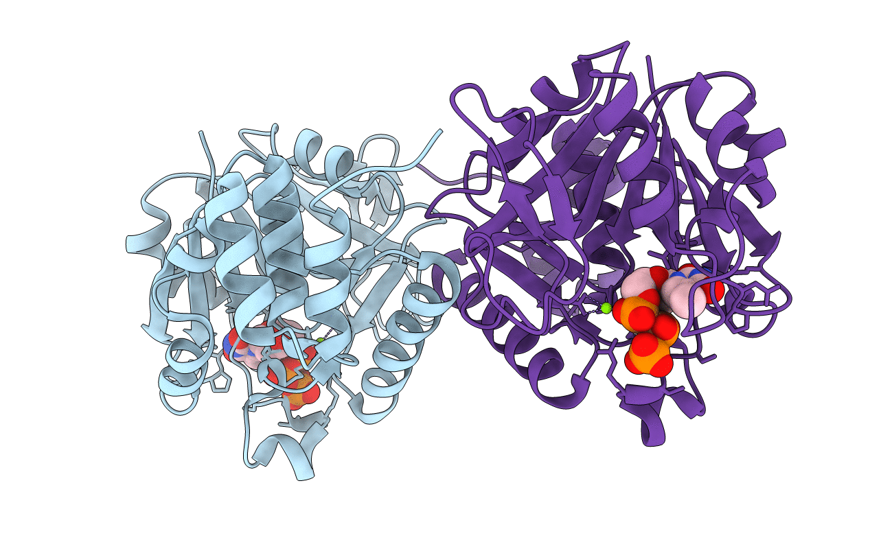 1MC3 image