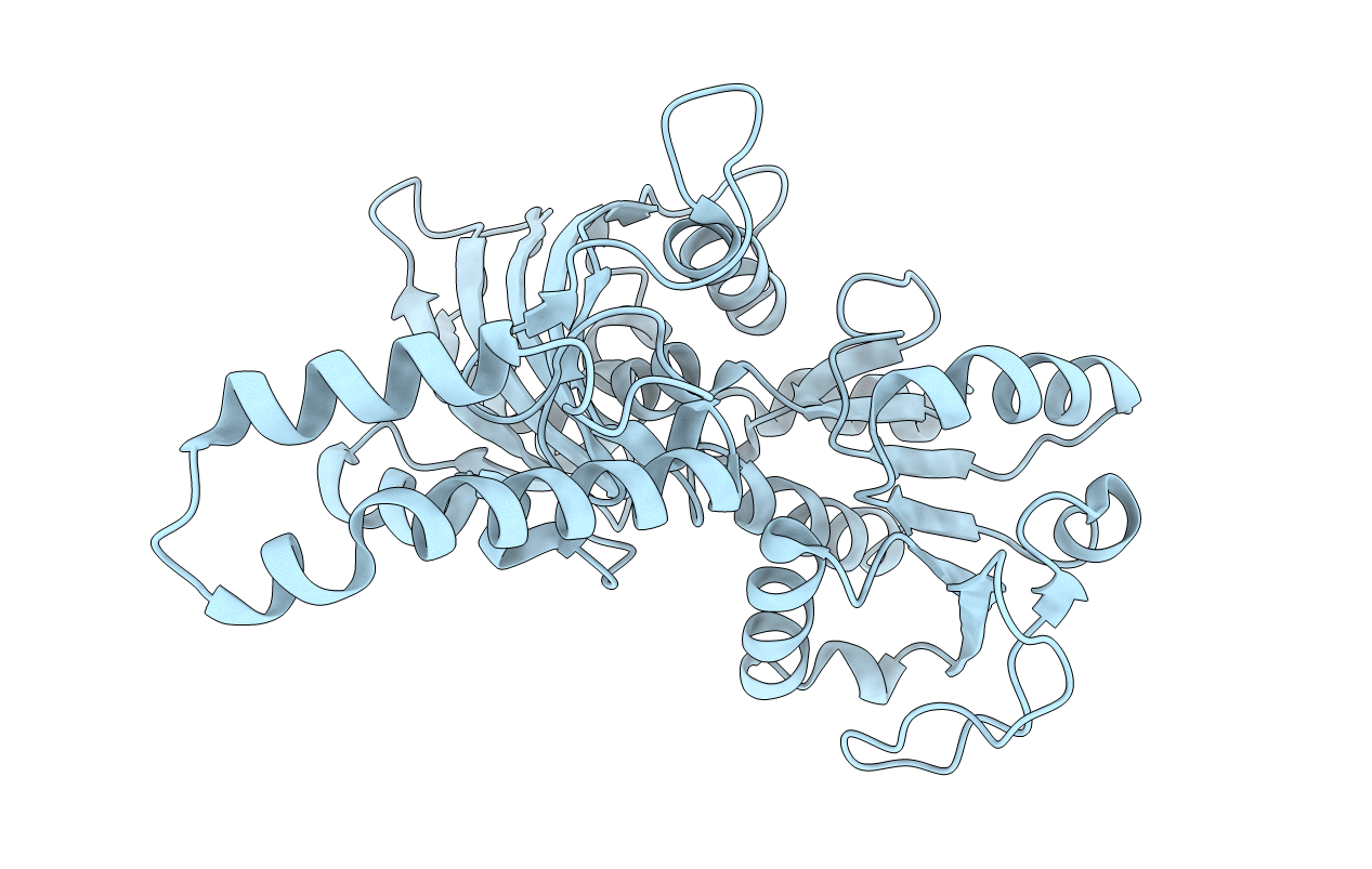 1MC4 image