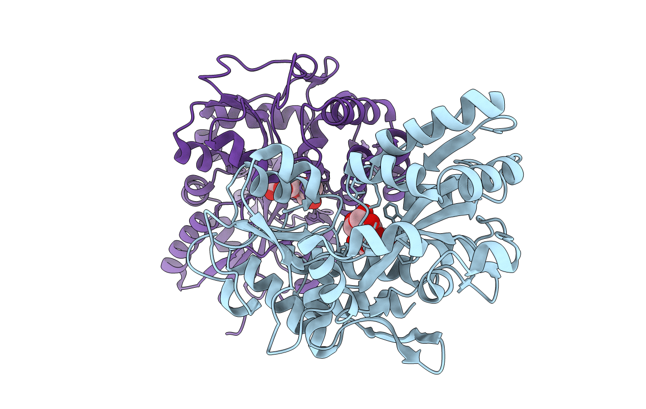 1MDP image