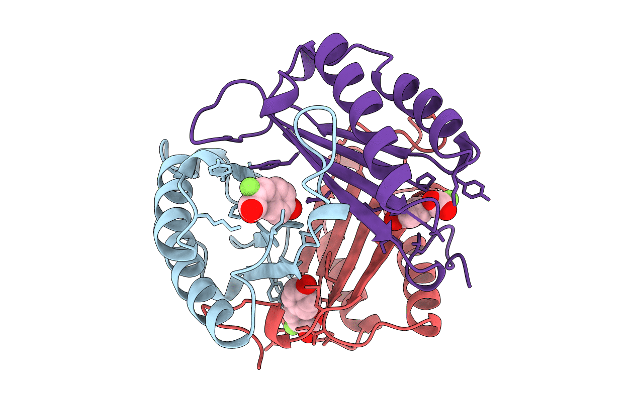 1MFI image