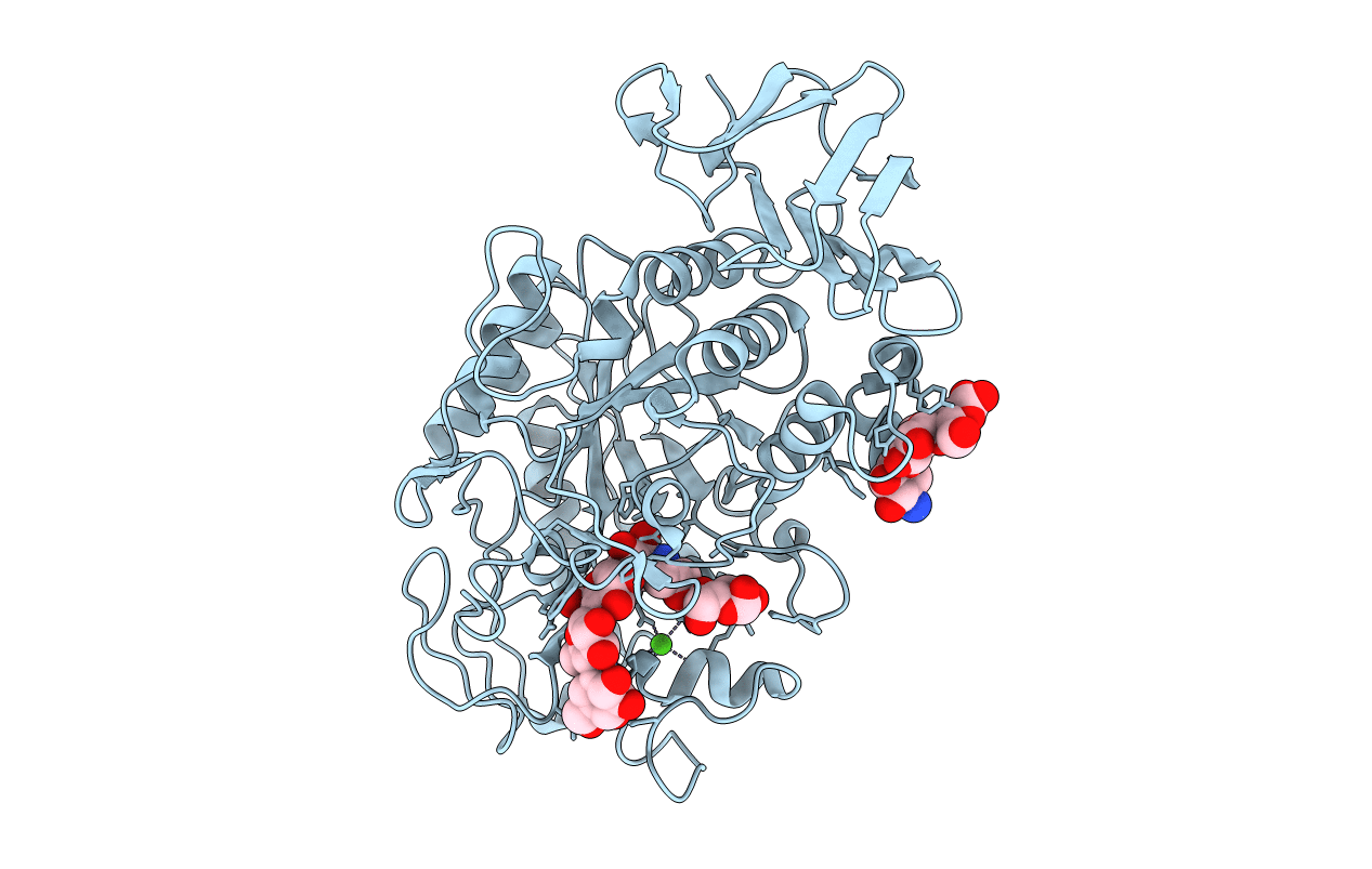 1MFV image