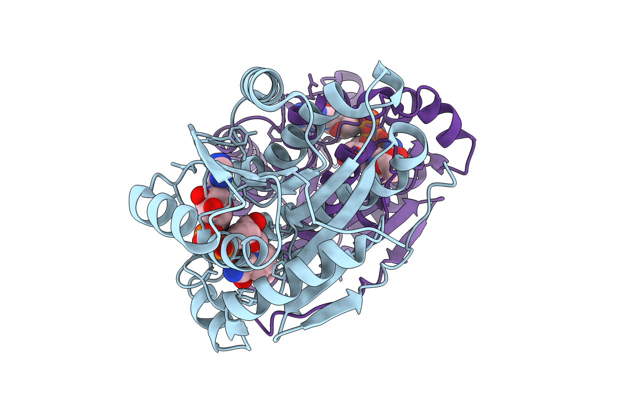 1MG5 image