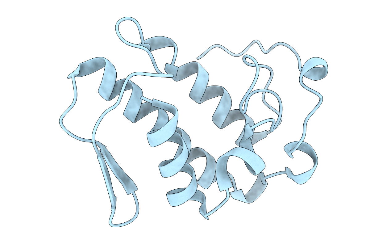 1MG6 image