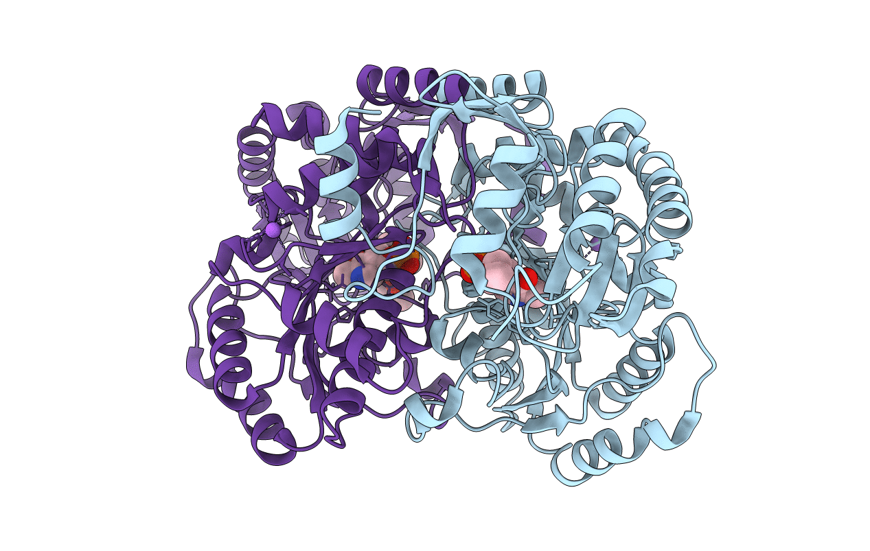 1MGV image