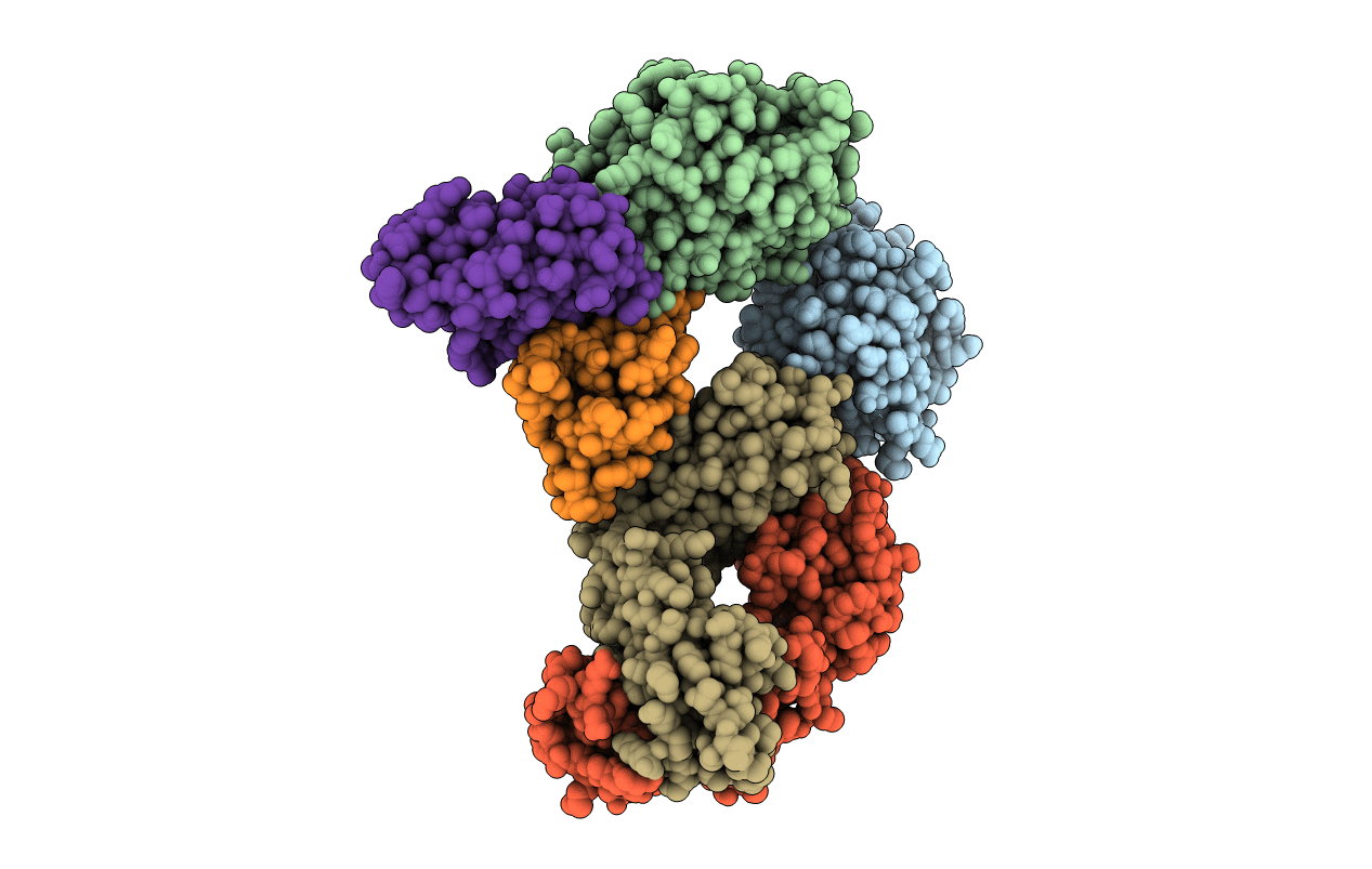 1MHP image