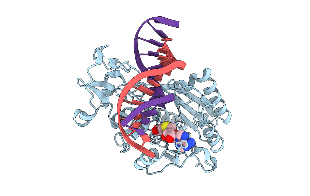 1MHT image