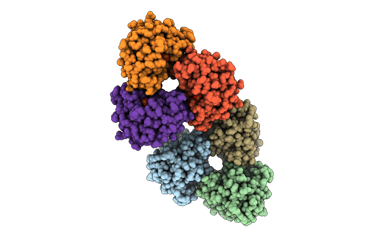 1ML1 image