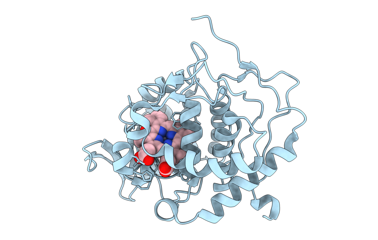 1ML2 image