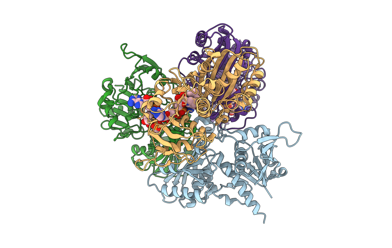1ML3 image