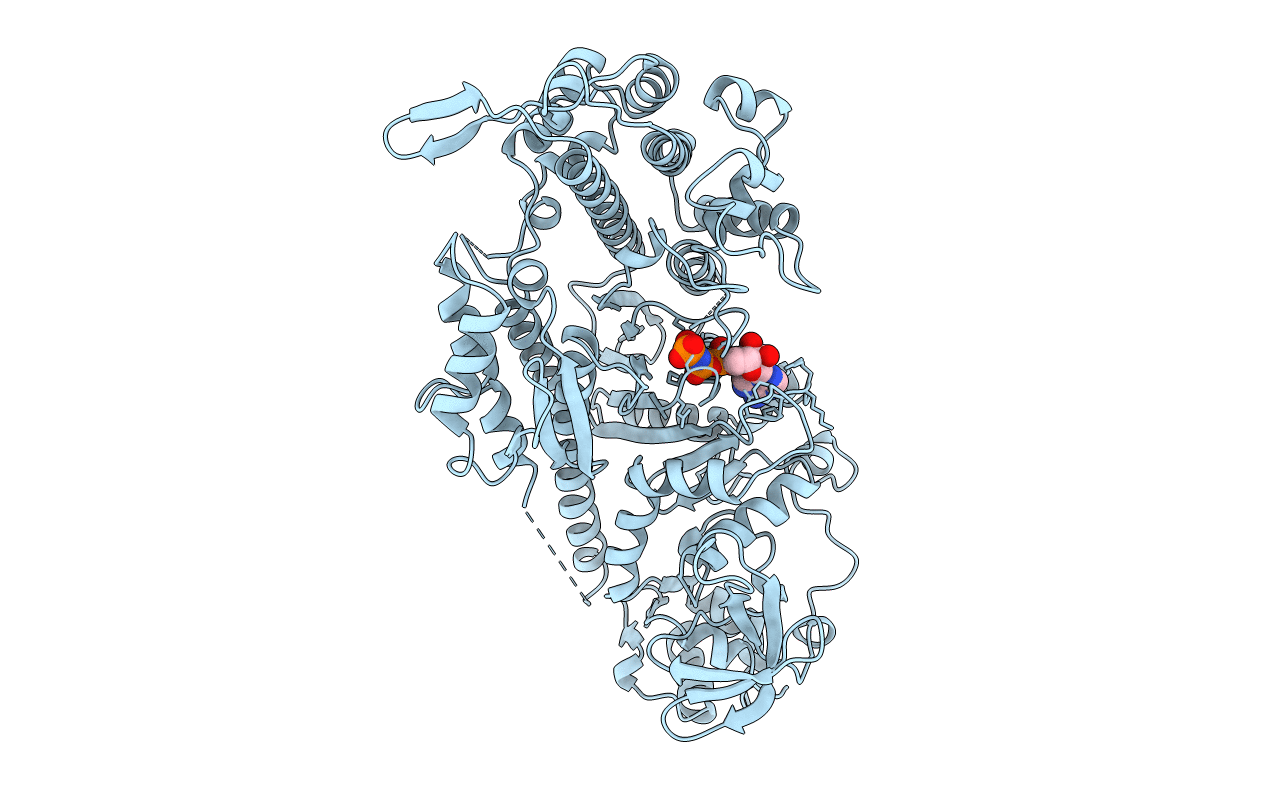 1MMN image