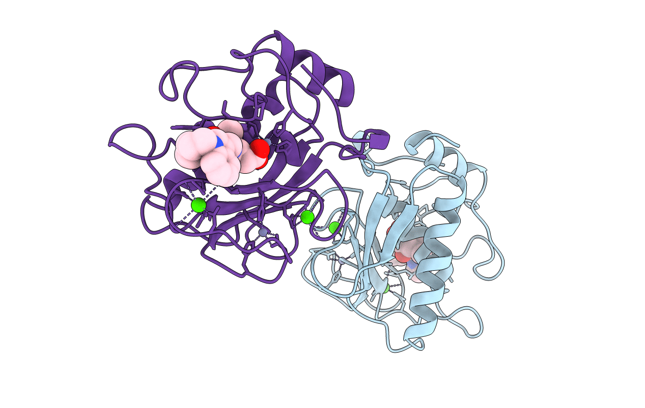 1MMP image