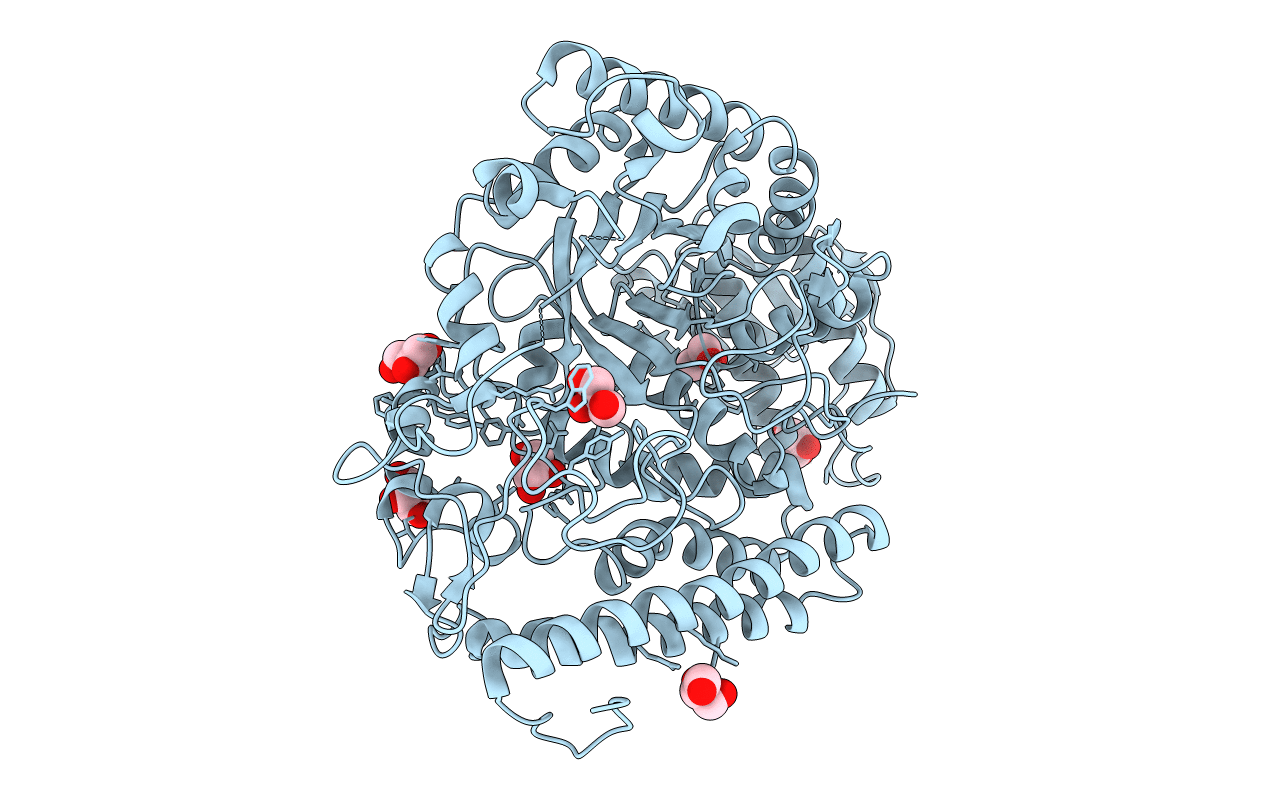 1MQP image
