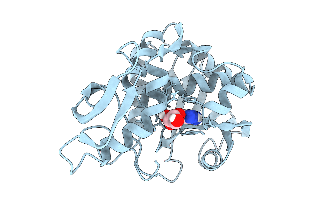 1MRH image
