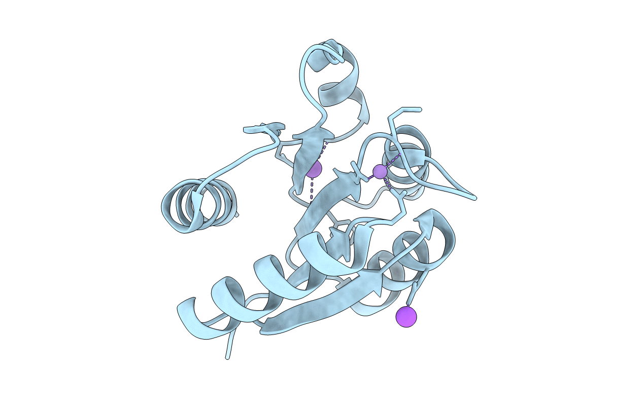 1MVO image