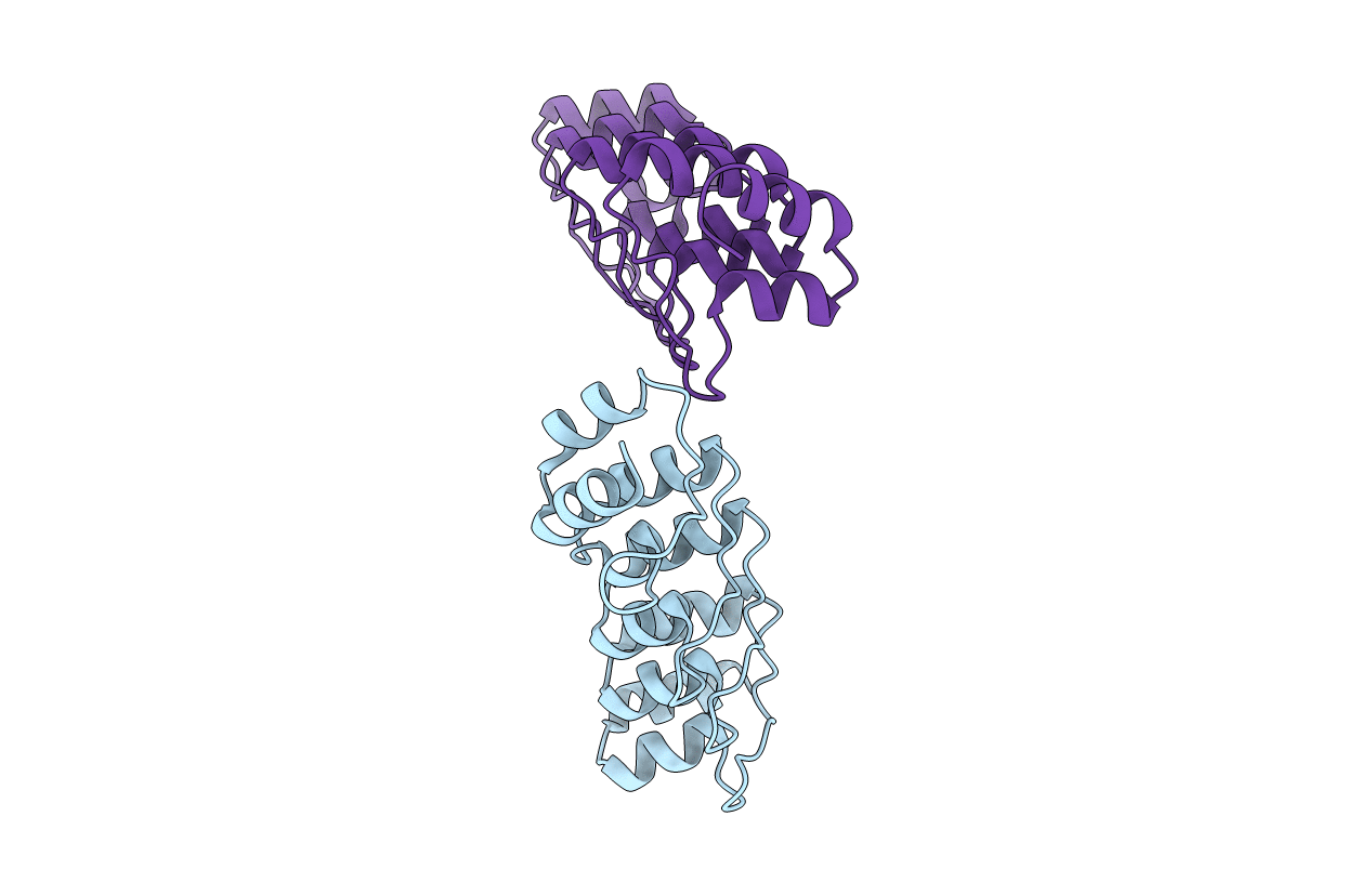 1MX2 image