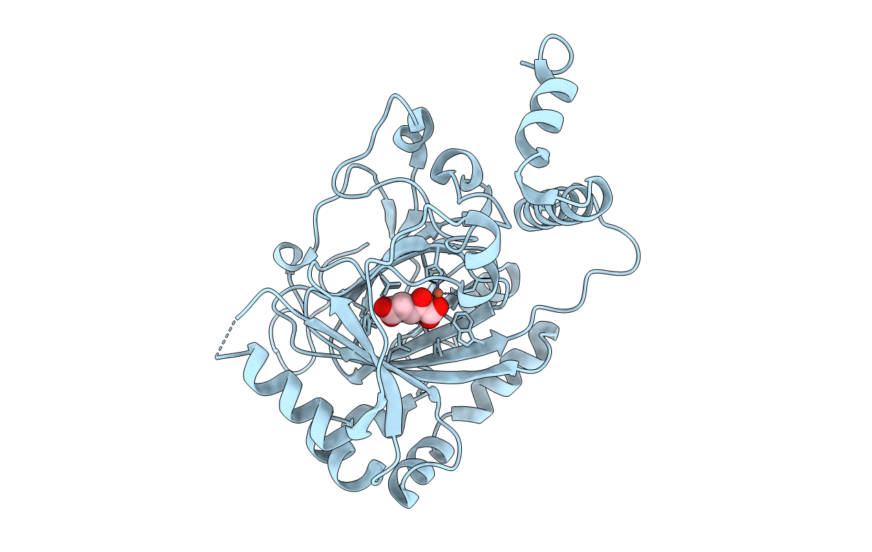 1MZF image