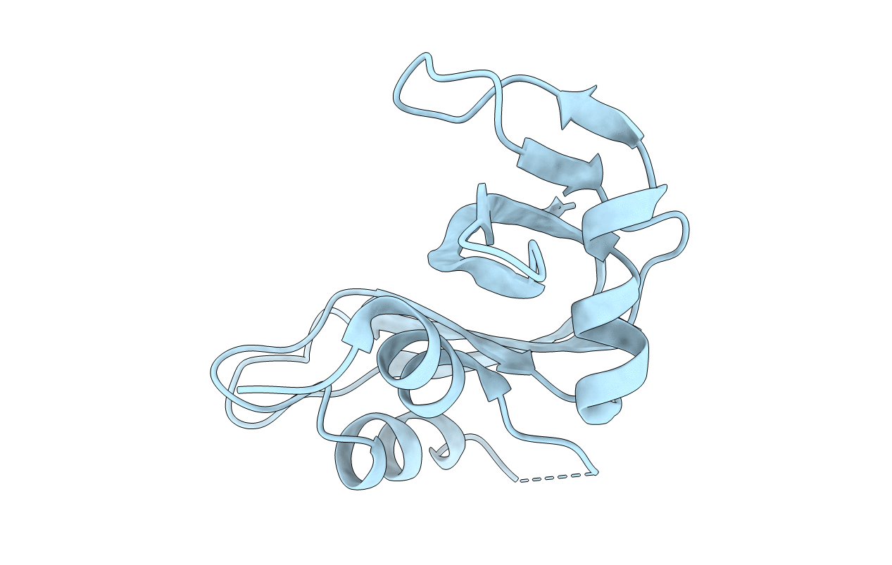 1N1X image