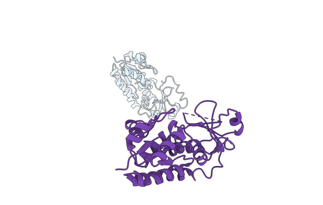1N4D image
