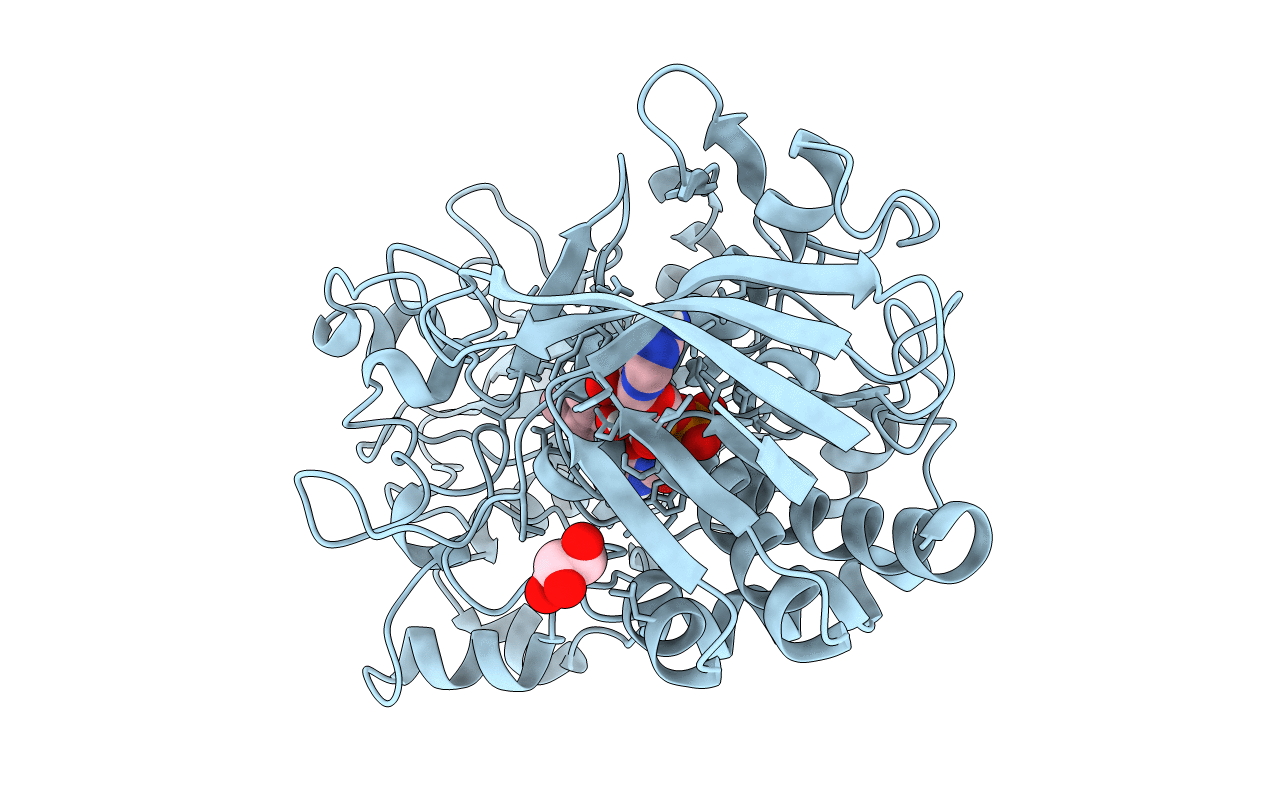 1N4V image