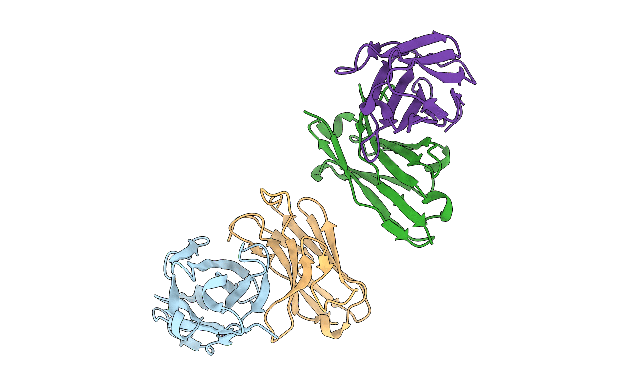 1N4X image