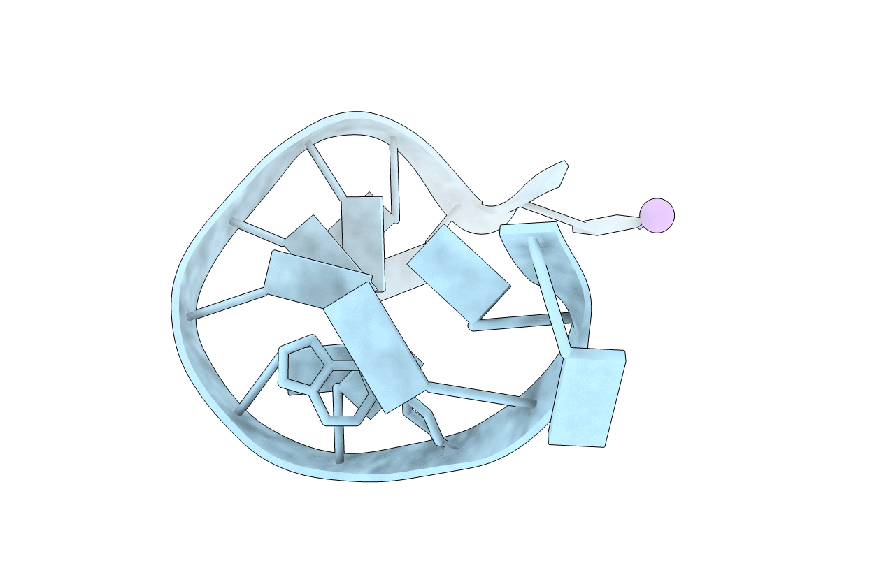 1N5C image