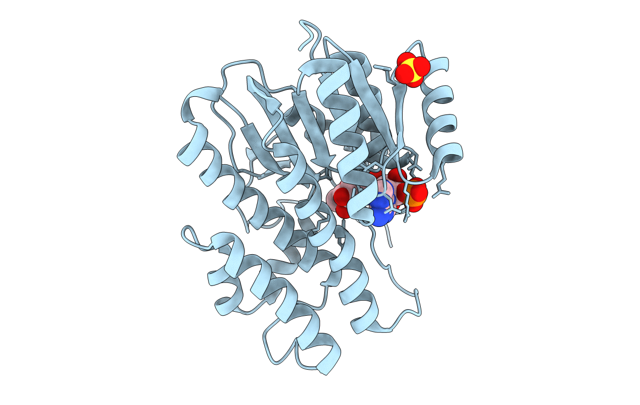 1N5D image
