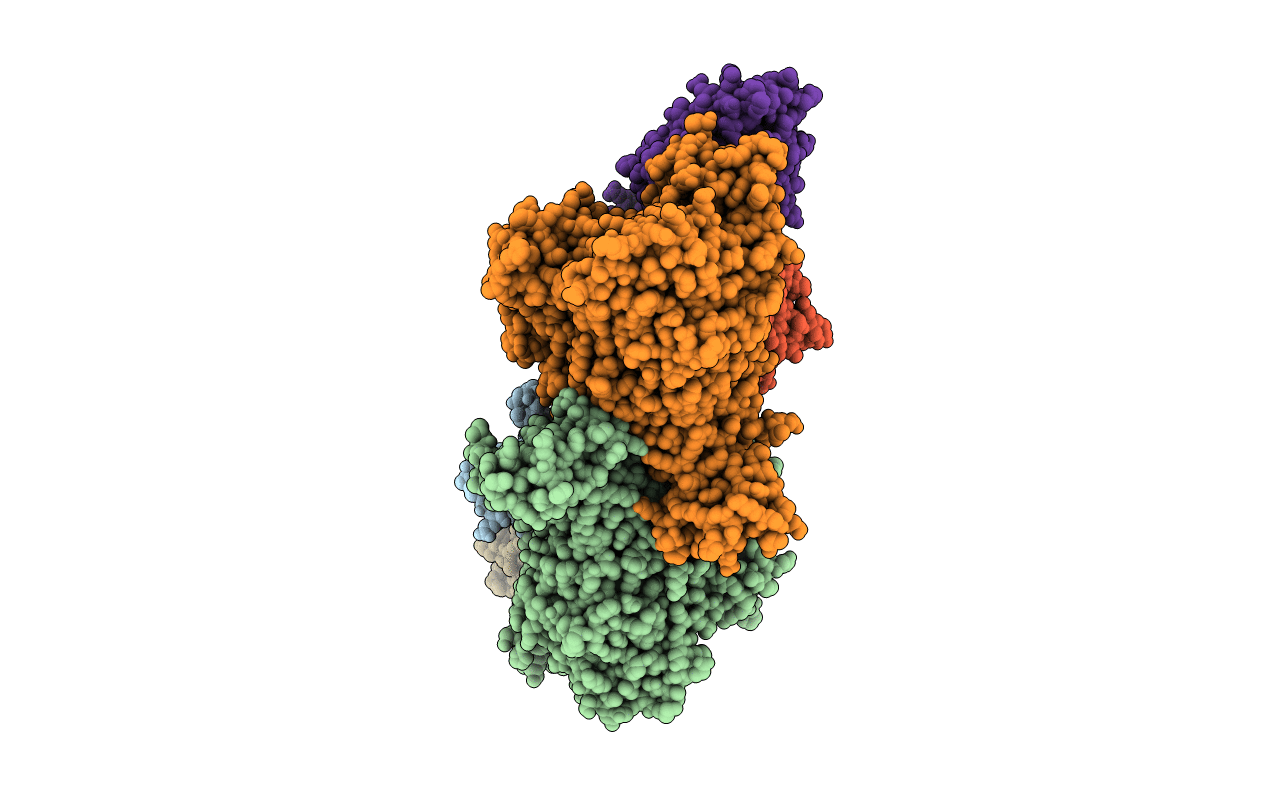 1N61 image