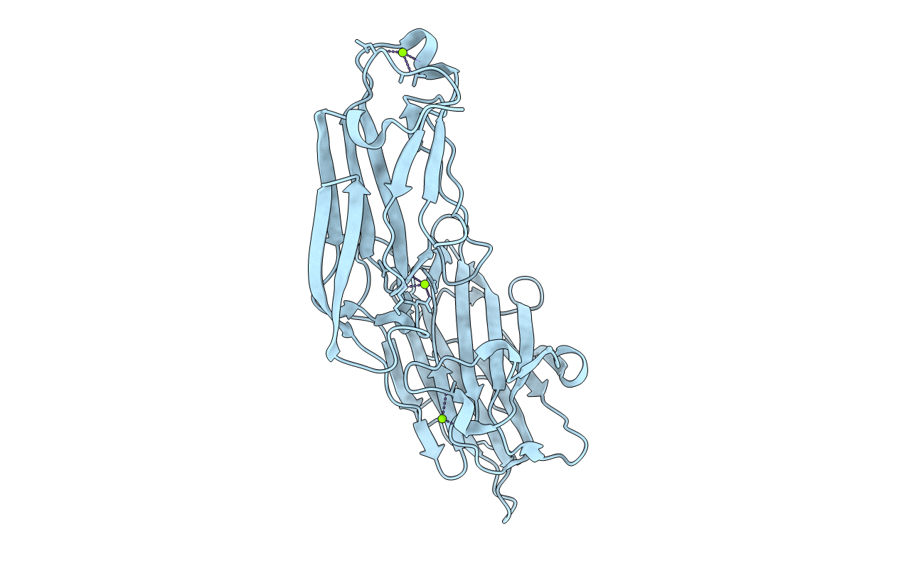 1N67 image