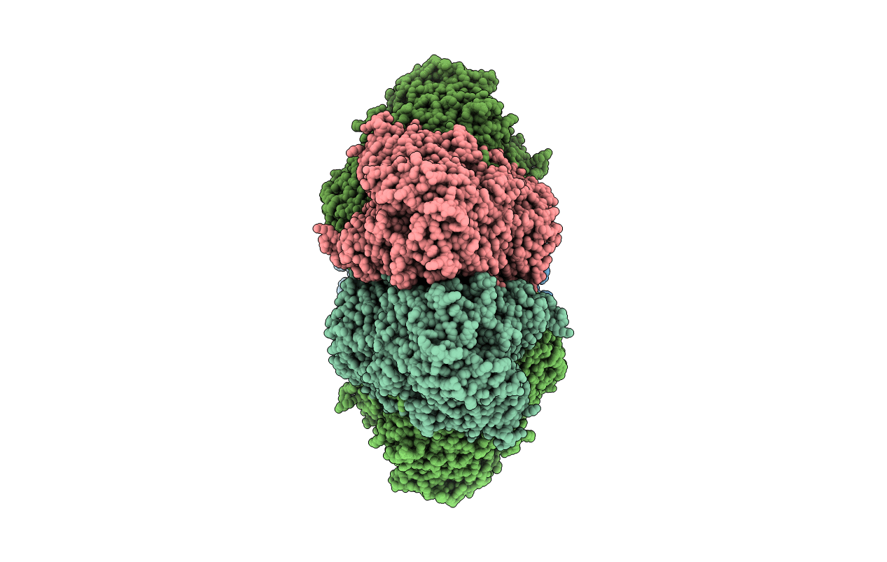 1N6D image