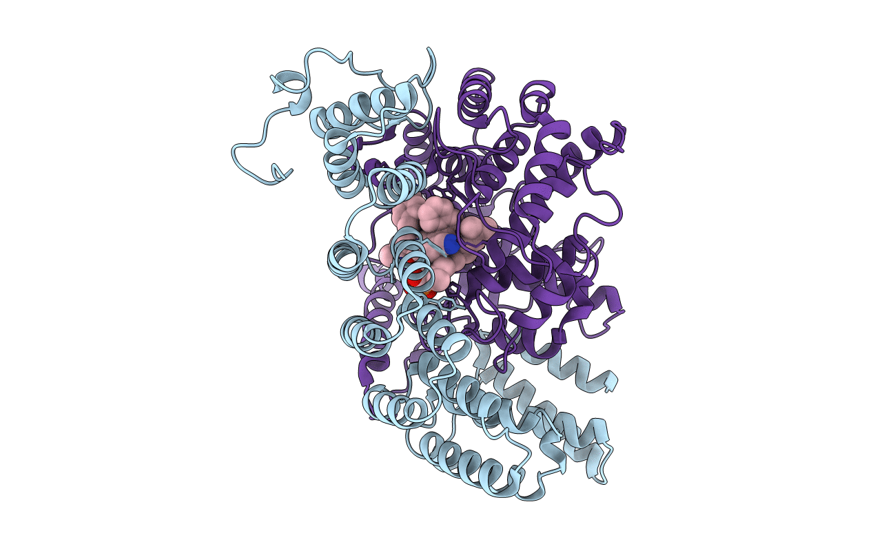 1N95 image
