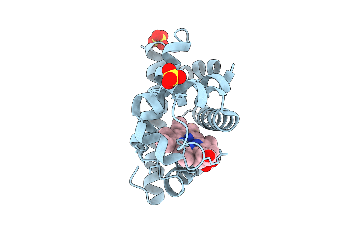 1N9X image
