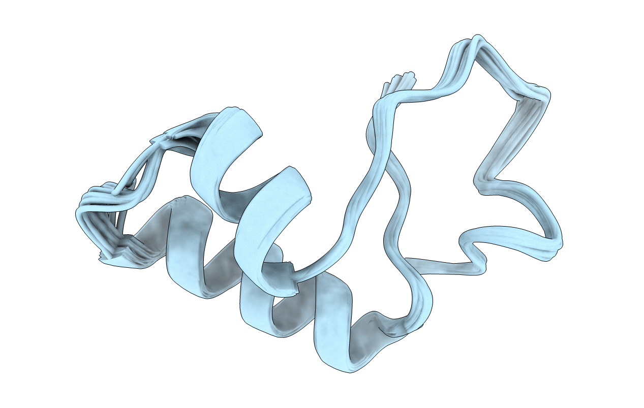 1NBL image