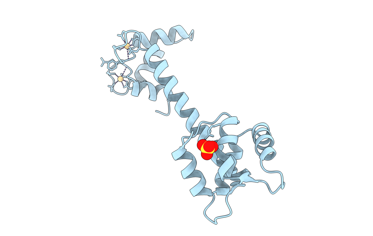 1NCX image