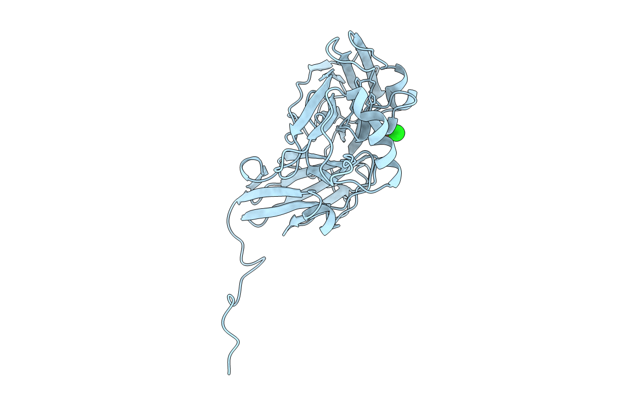 1NDT image