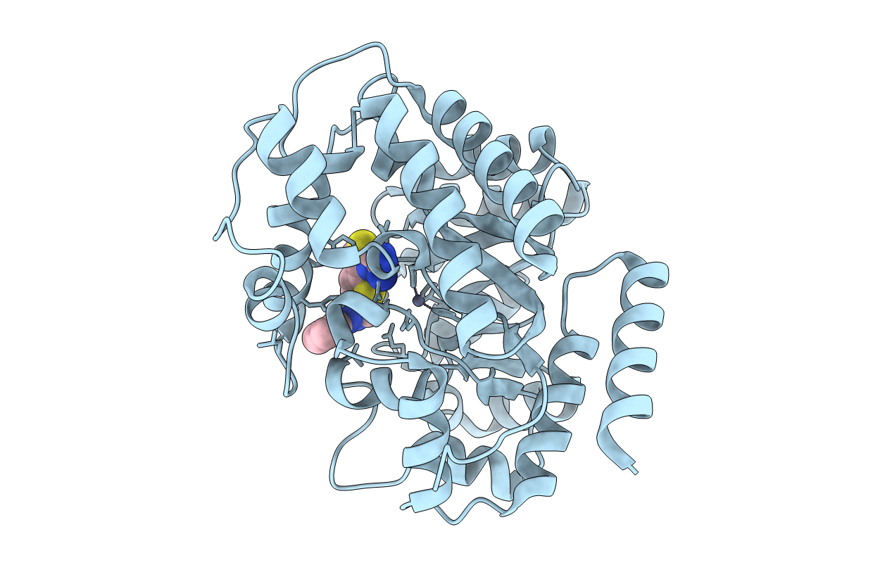 1NDV image