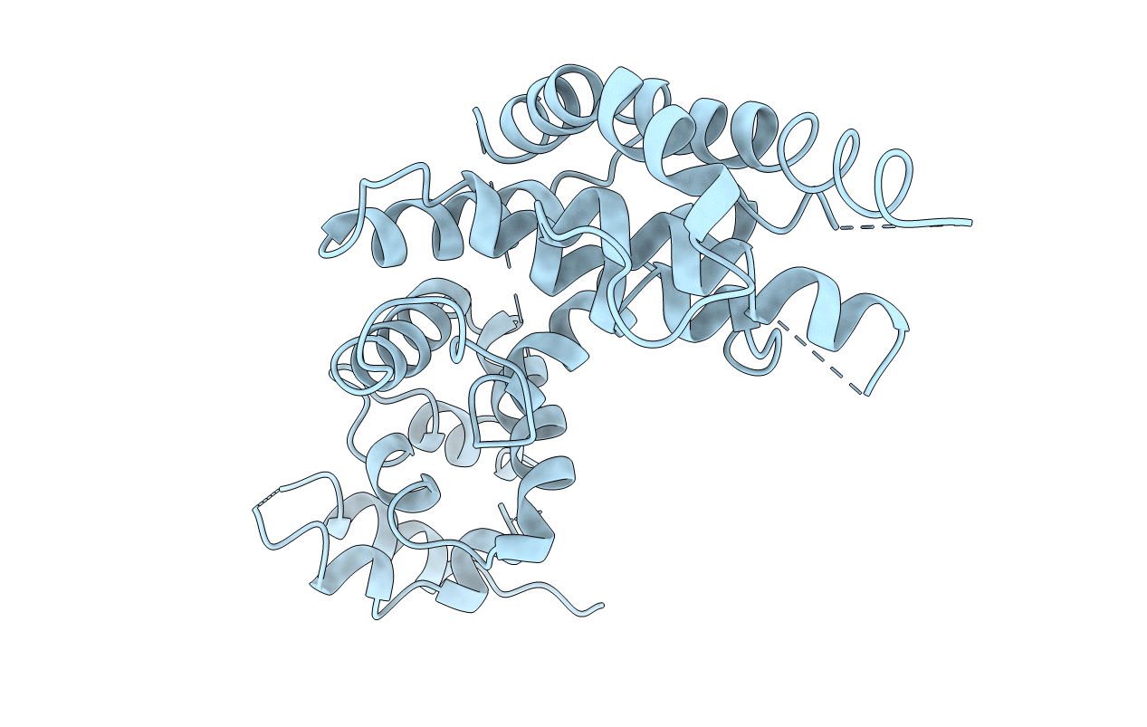 1NF1 image