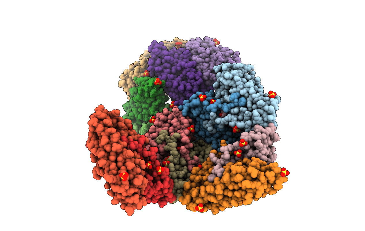 1NF4 image
