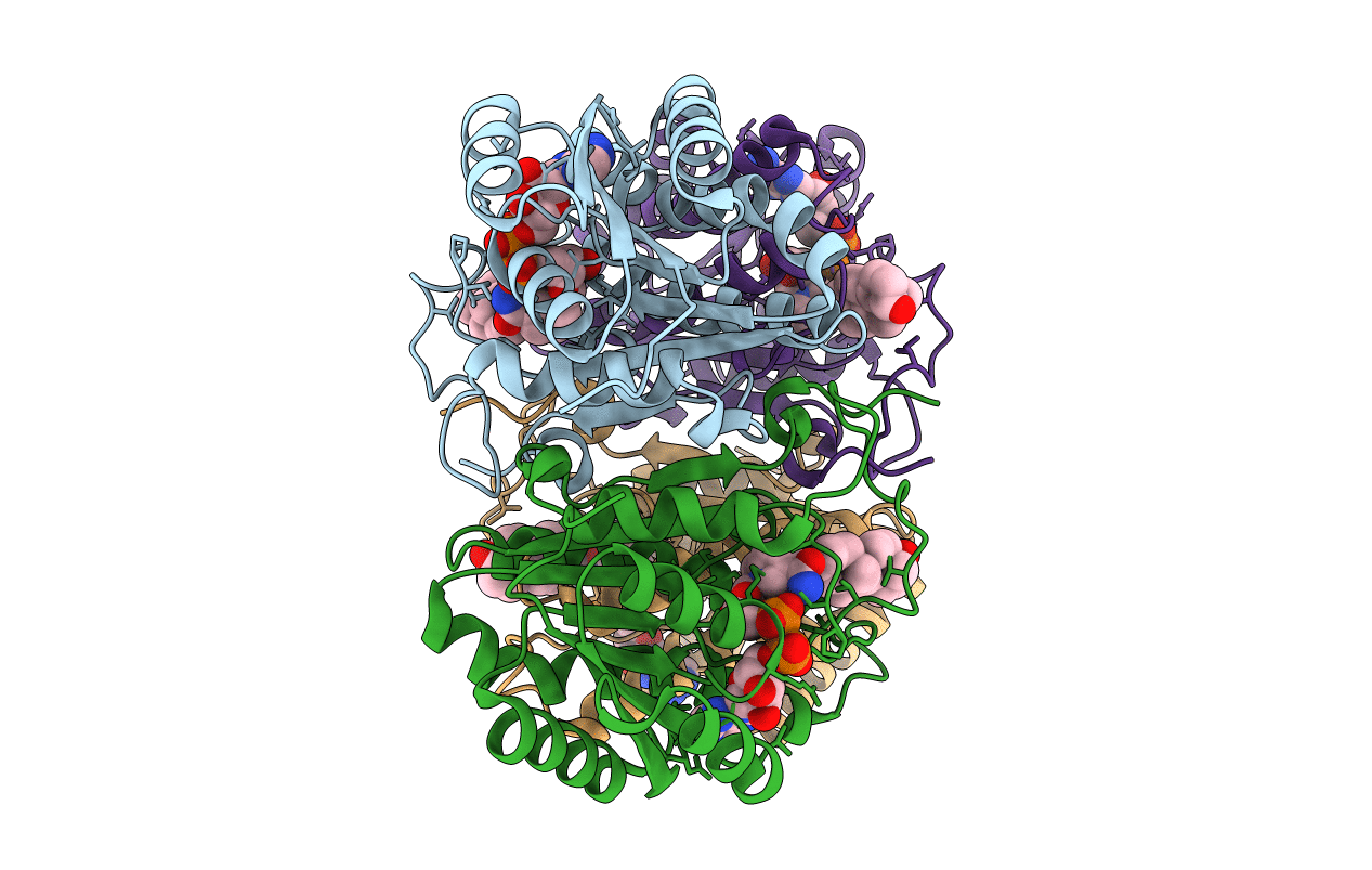 1NFQ image