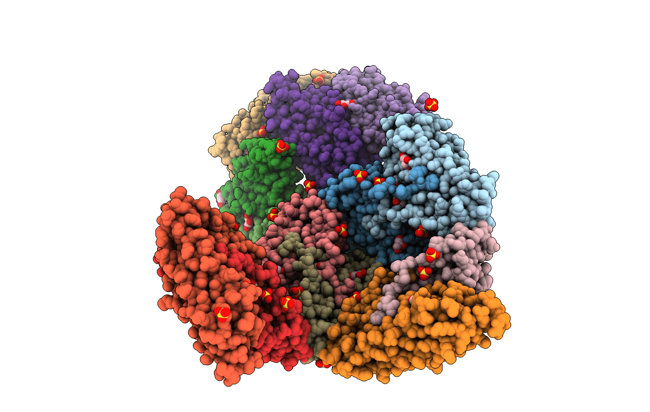 1NFV image