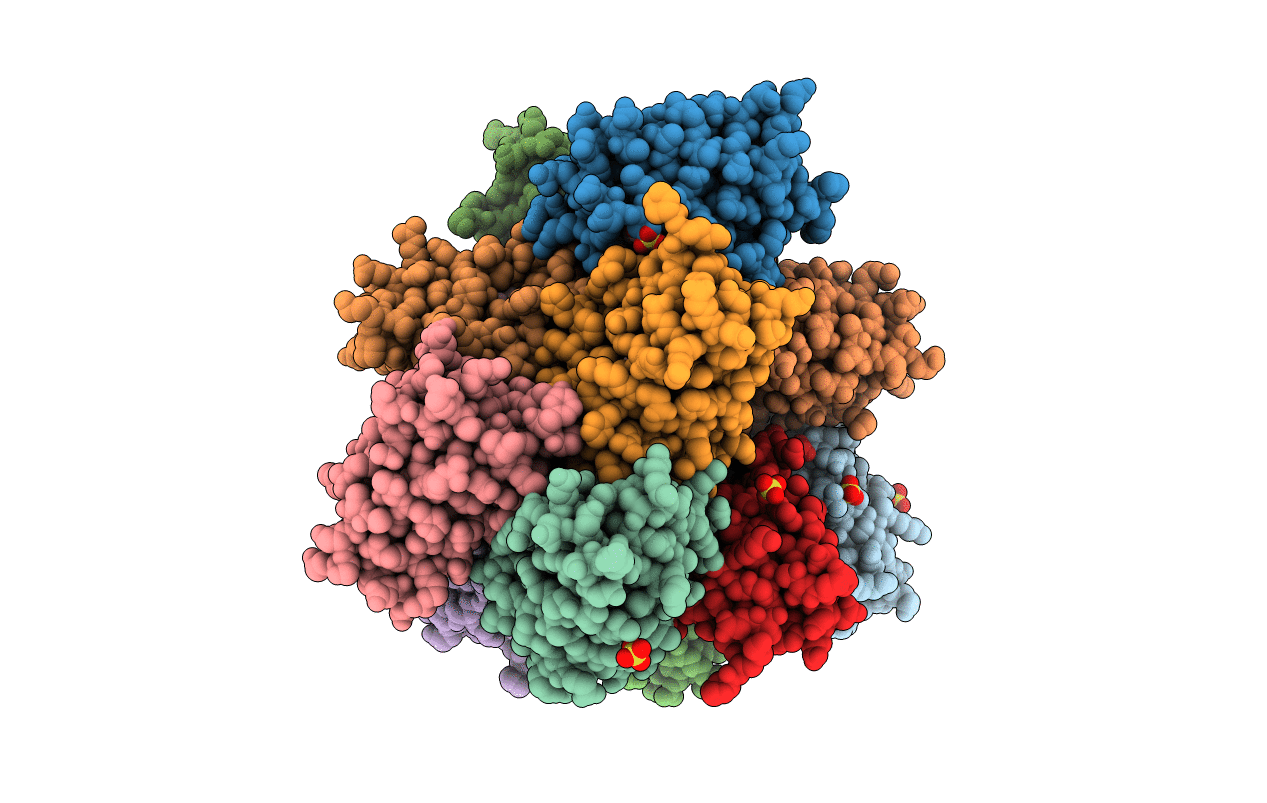 1NGK image