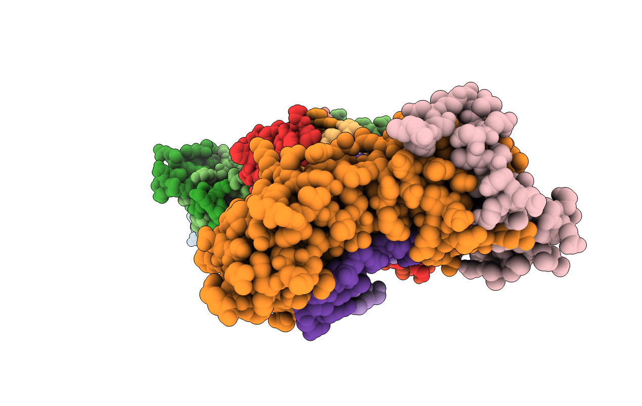 1NGM image