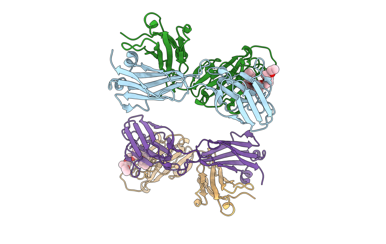 1NGX image