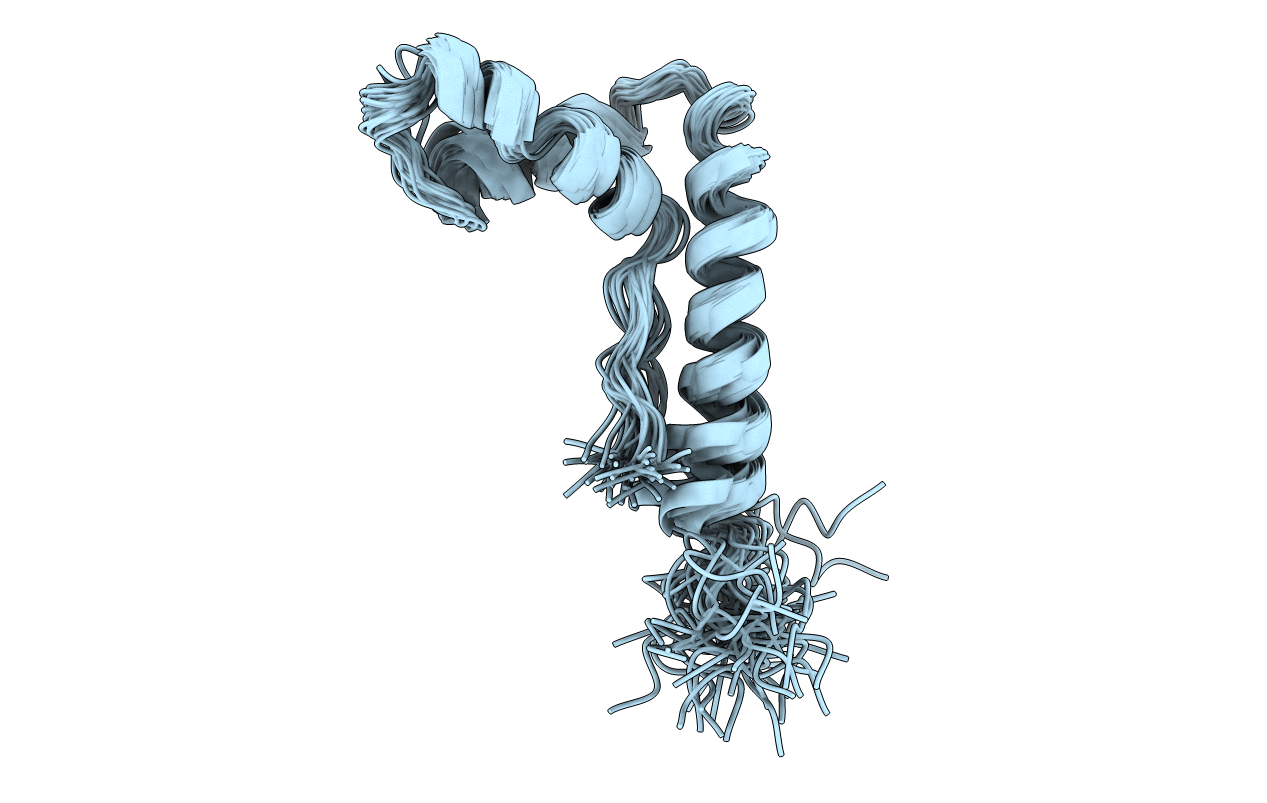 1NHN image