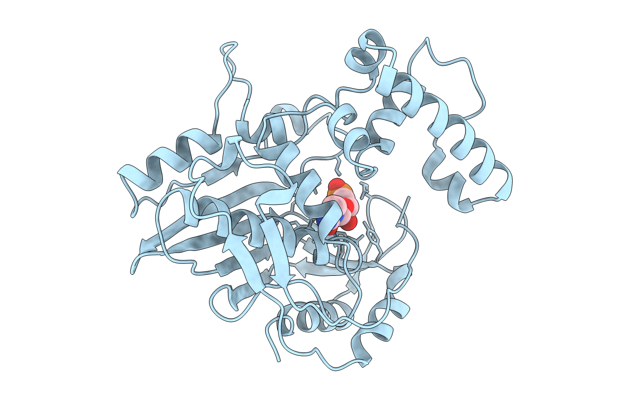 1NJC image