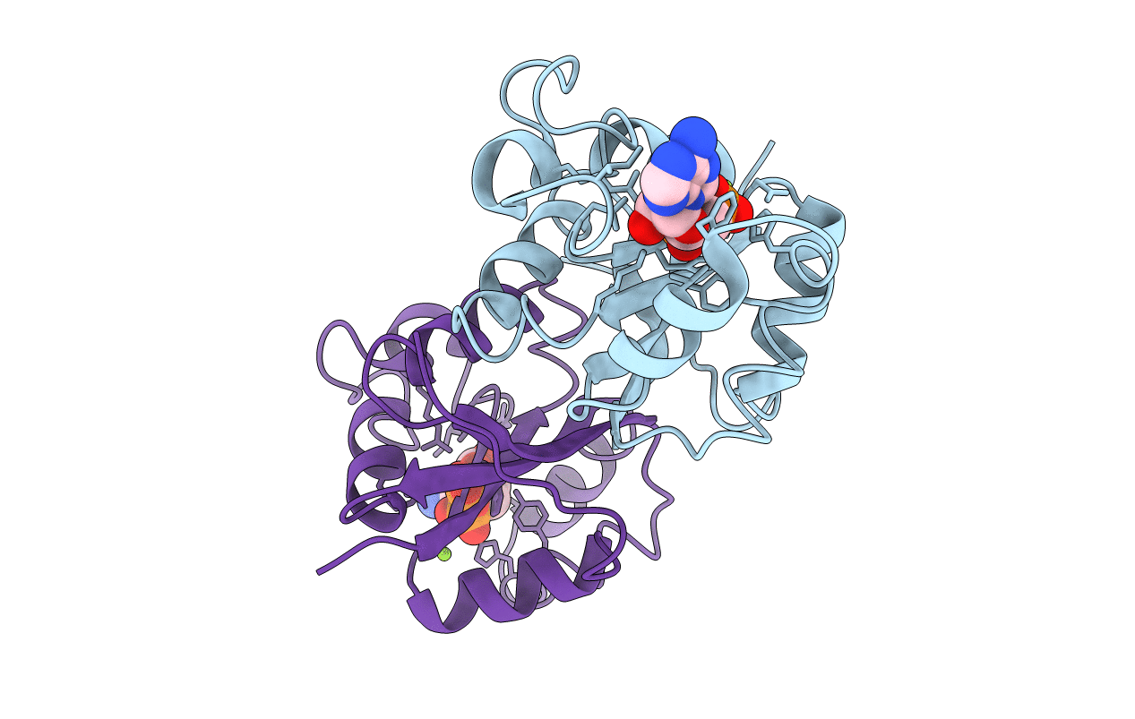 1NLK image
